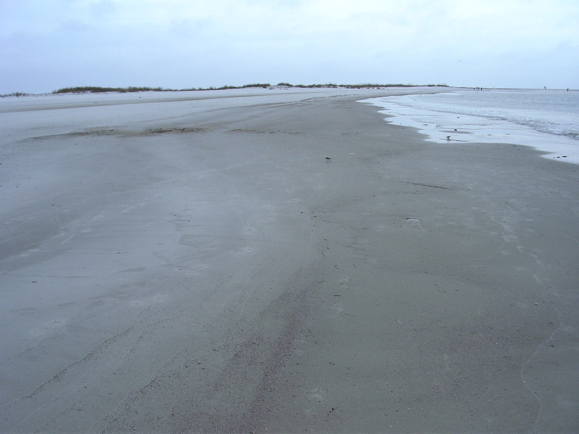 Beach, Dauphin Island, November 2009