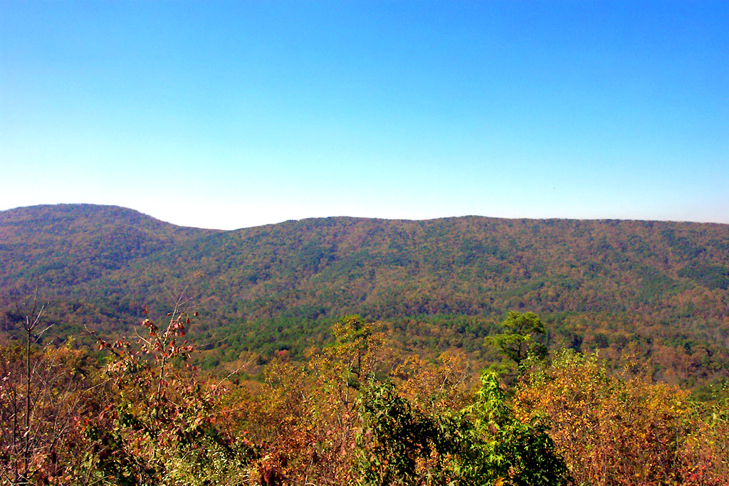 American landscape